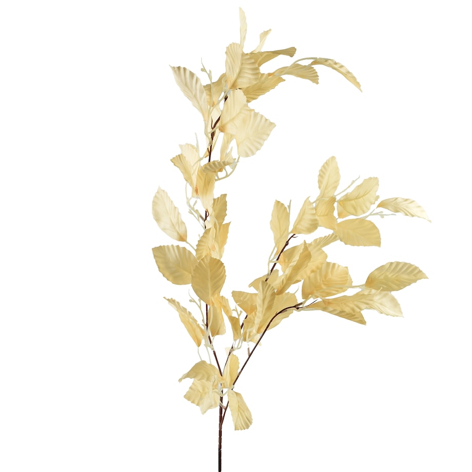 Gałązka Viridis