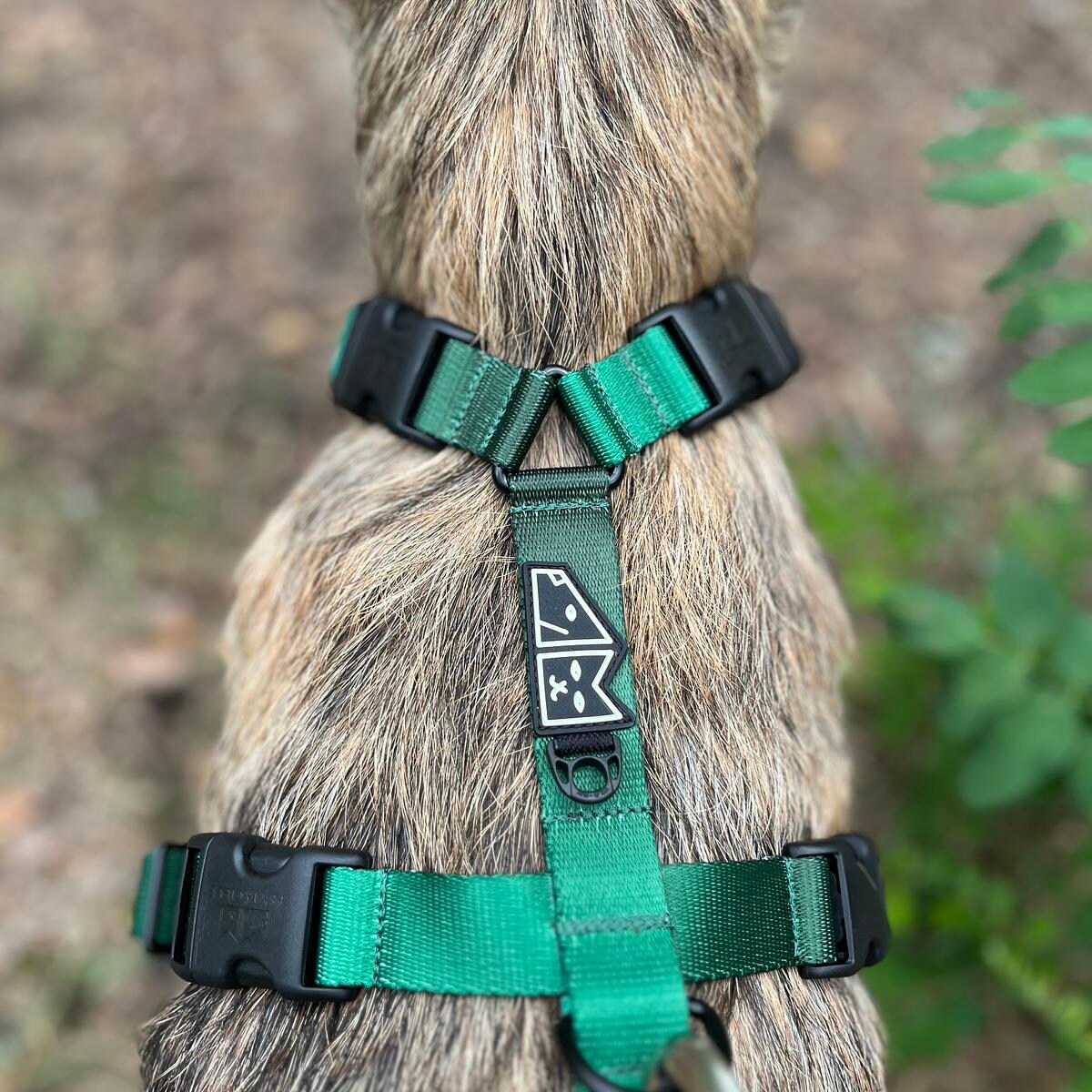 Szelki guard Stay on "Under my ombrella" zieleń - Szerokość taśmy: 25mm, Rozmiar: S