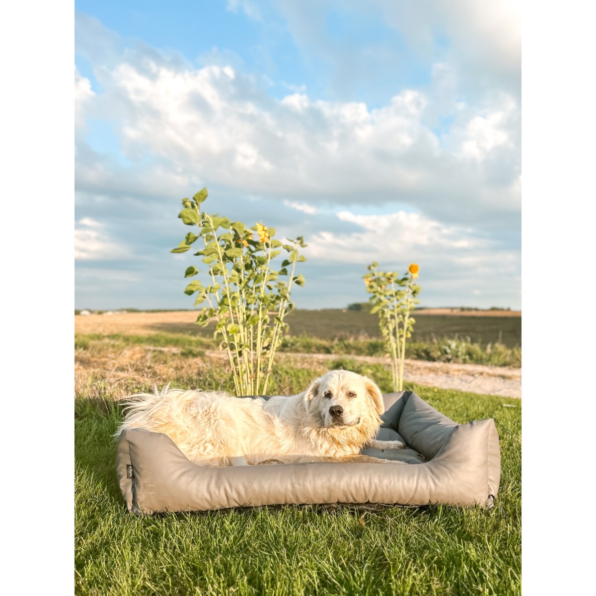 Legowisko dla psa z ekoskóry MARIO, 100x70 cm, Szary