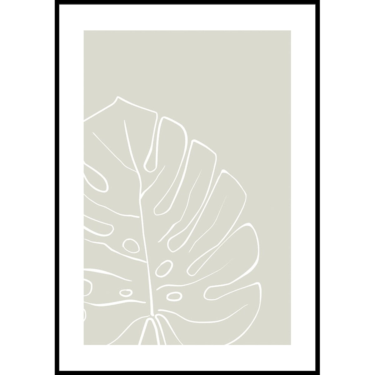 plakat line art monstera 1 50x70 cm