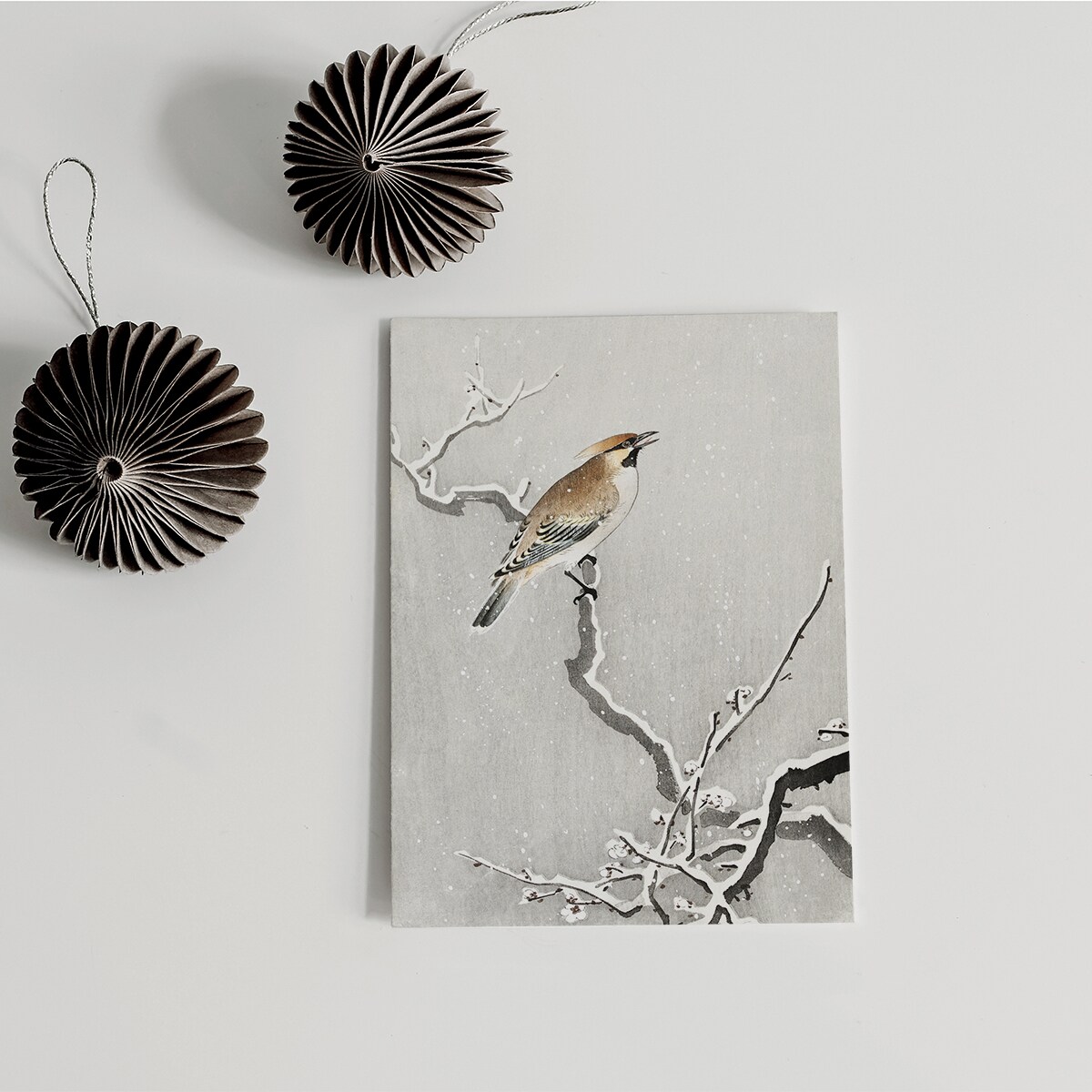 Plakat Jemiołuszka Na Śnieżnej Gałęzi 30x40cm