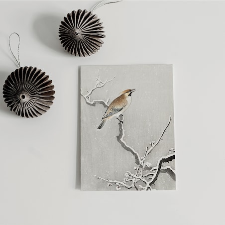 Plakat Jemiołuszka Na Śnieżnej Gałęzi 30x40cm