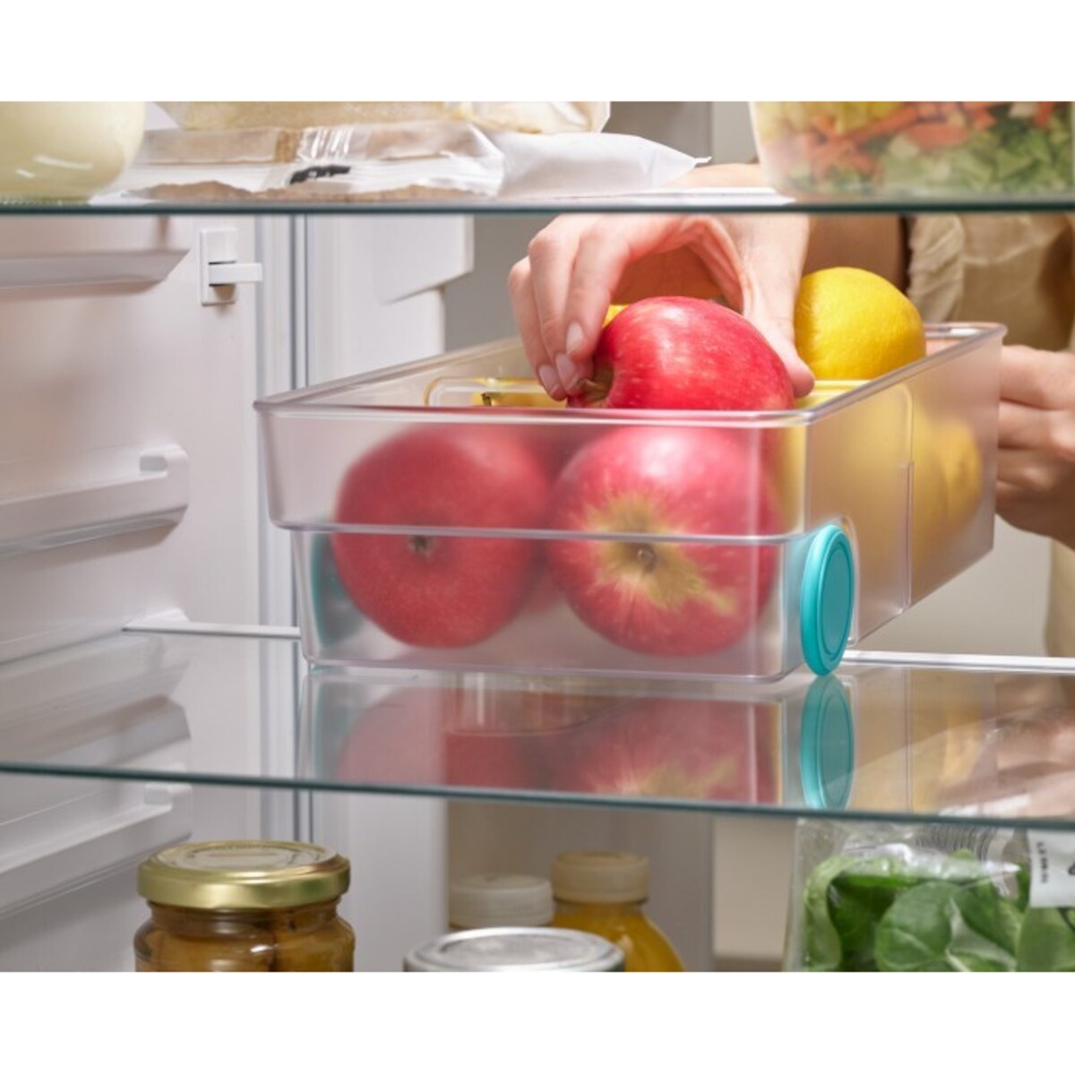 Pojemnik / organizer L do lodówki FridgeStore, 8.5 x 17.4 x 30.8 cm, Joseph Joseph