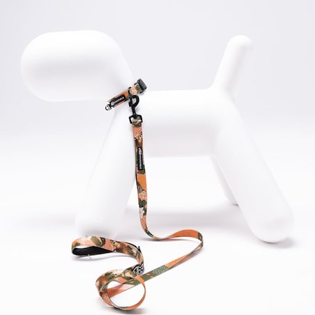 Obroża dla psa lub kota "Wie wiórka co dobre" - Szerokość taśmy: 15mm, Rozmiar: XXS