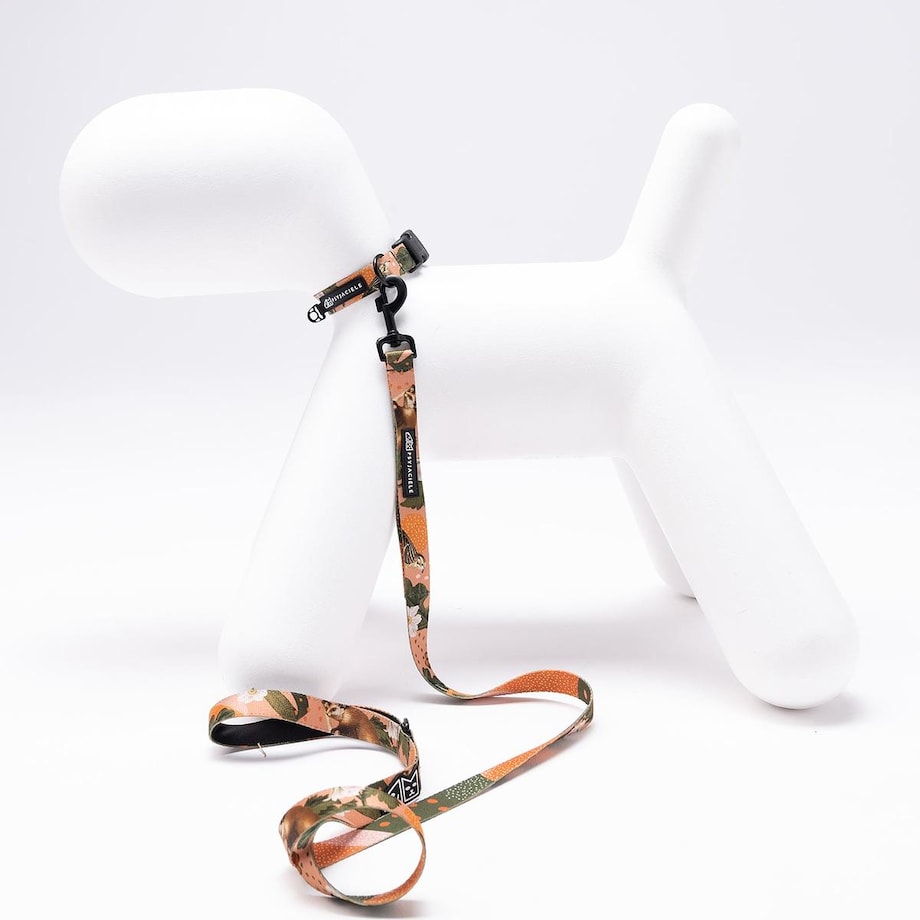 Obroża dla psa lub kota "Wie wiórka co dobre" - Szerokość taśmy: 15mm, Rozmiar: XXS