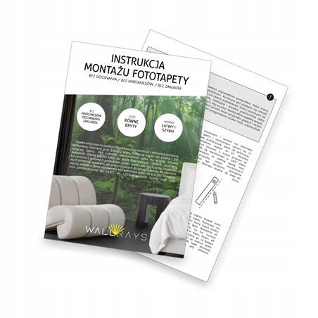 Fototapeta Dla Piłkarza Fc Barcelona 368X254 Do Salonu, Sypialni