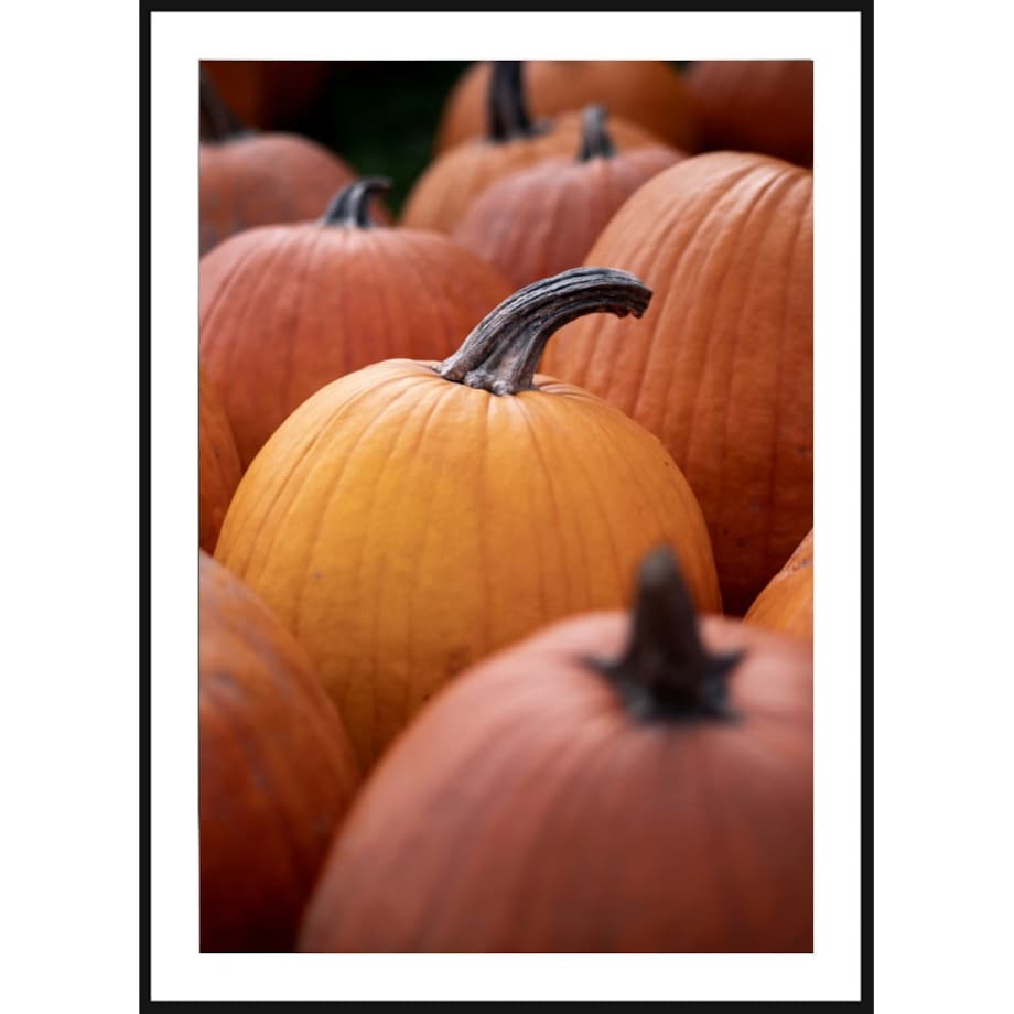 Poster Story, Plakat, Obraz - Dynie w Zbliżeniu, wymiary 70 x 100 cm