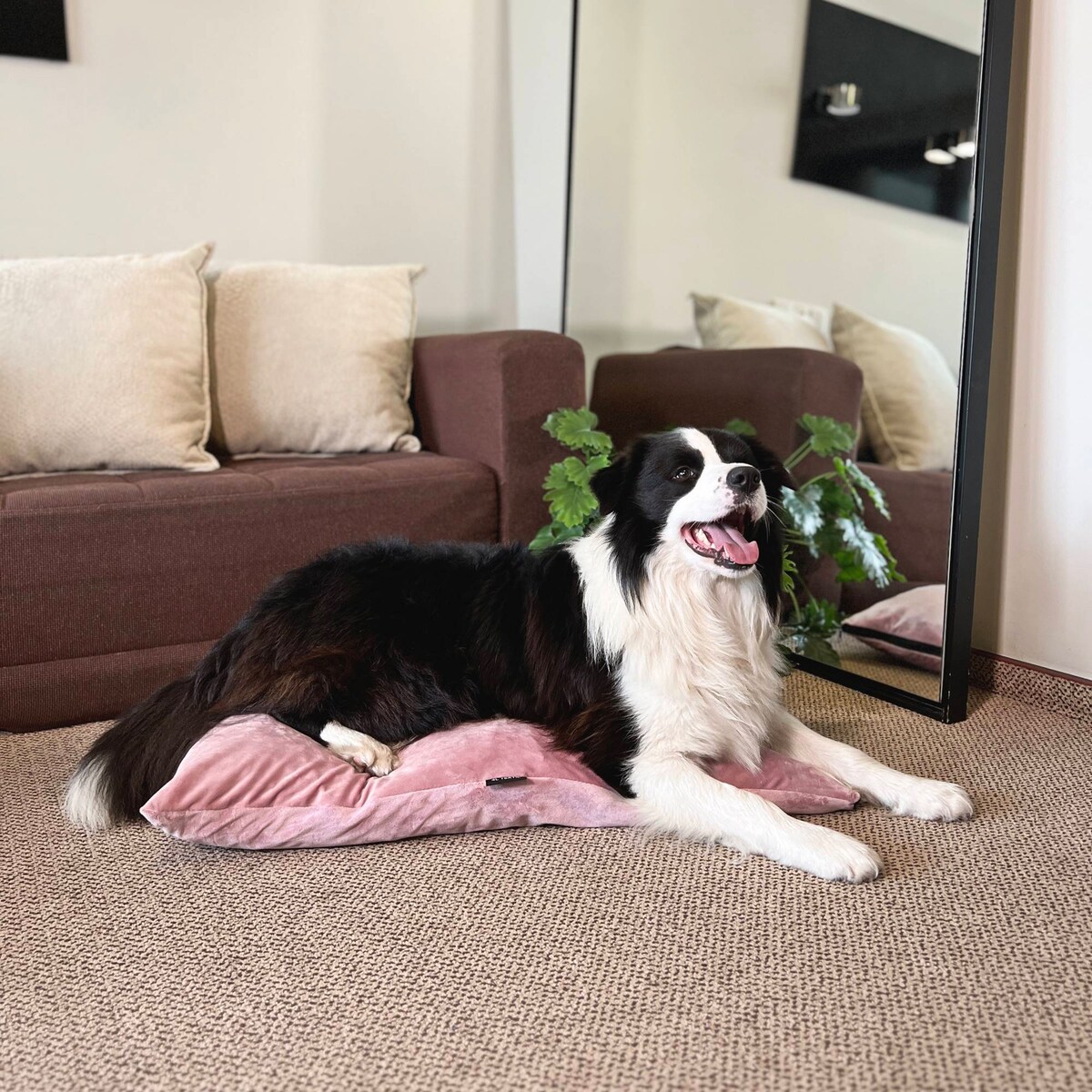 Miękka poduszka dla psa MALIBU, 60x50 cm, Róż