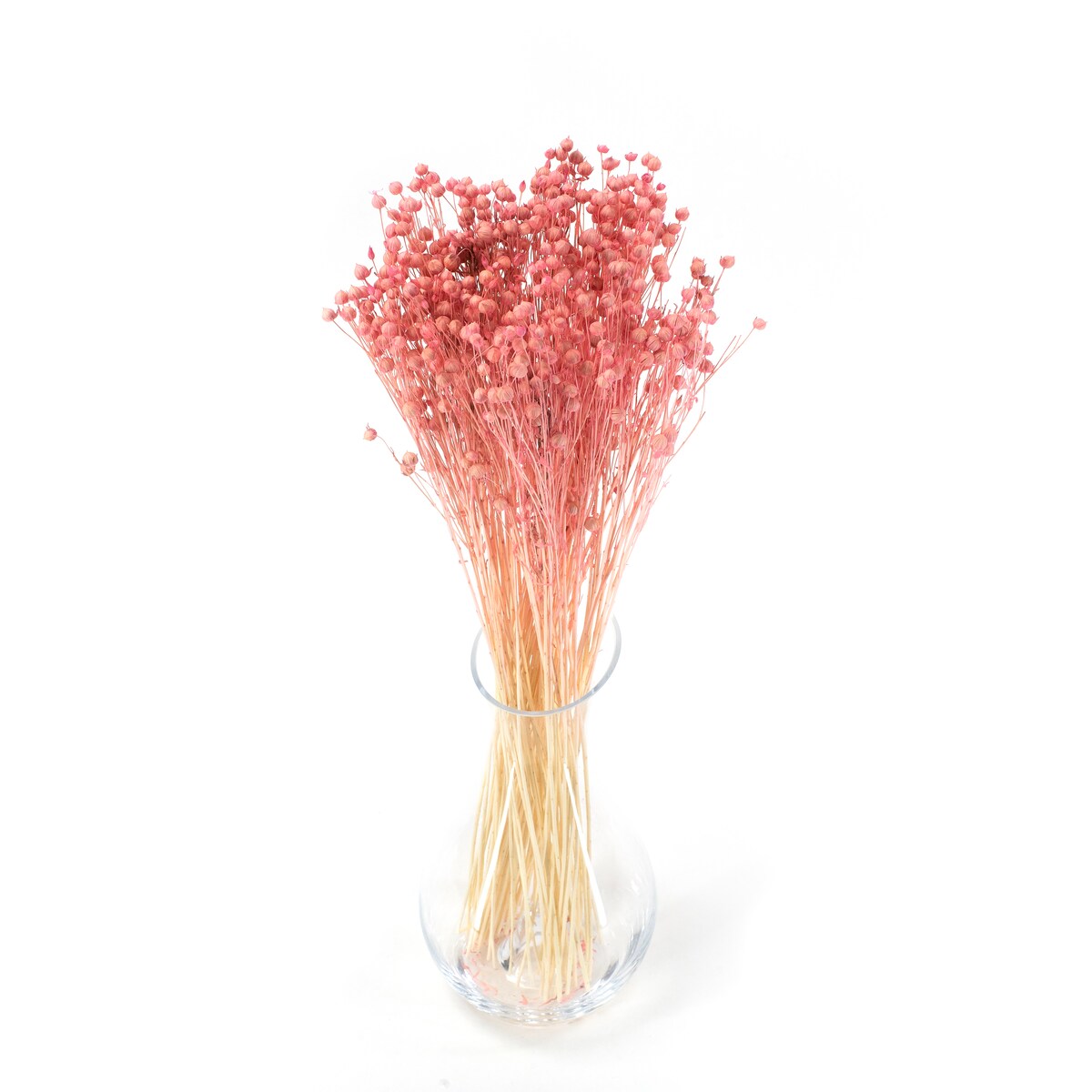 Suszony Len Jasnoróżowy