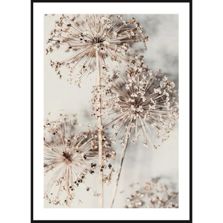 Poster Story, Plakat, Obraz - Suszony Czosnek Ozdobny, wymiary 50 x 70 cm