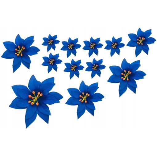 GWIAZDA betlejemska poinsecja niebieska na wianek choinka święta stroik 12x