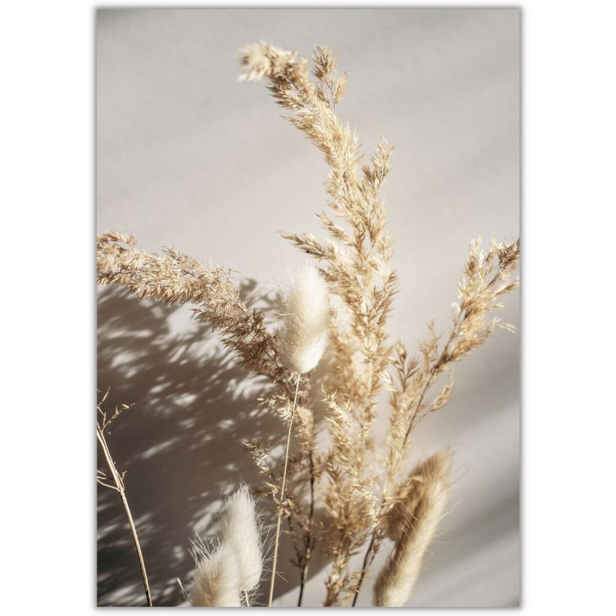 plakat suszona trawa bukiet 2 70x100 cm