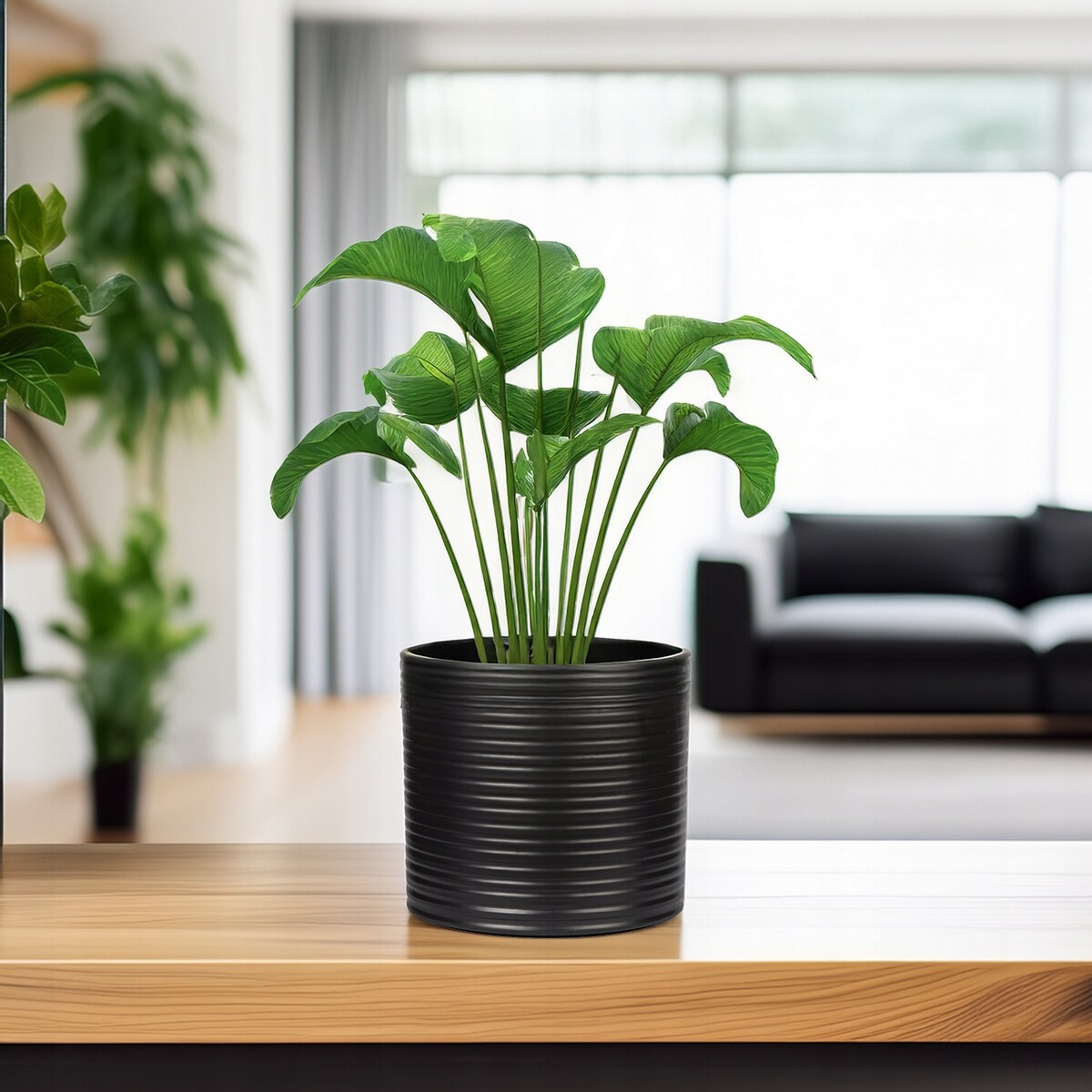 DONICZKA CERAMICZNA CYLINDER CZARNA 17cm matowa na parapet kwiaty do salonu