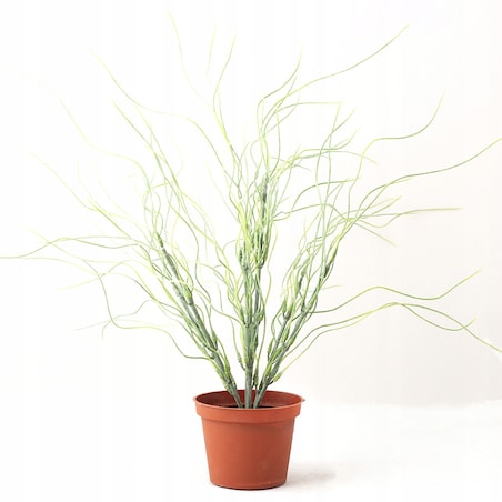 SZTUCZNA TRAWA w doniczce śr. 6cm