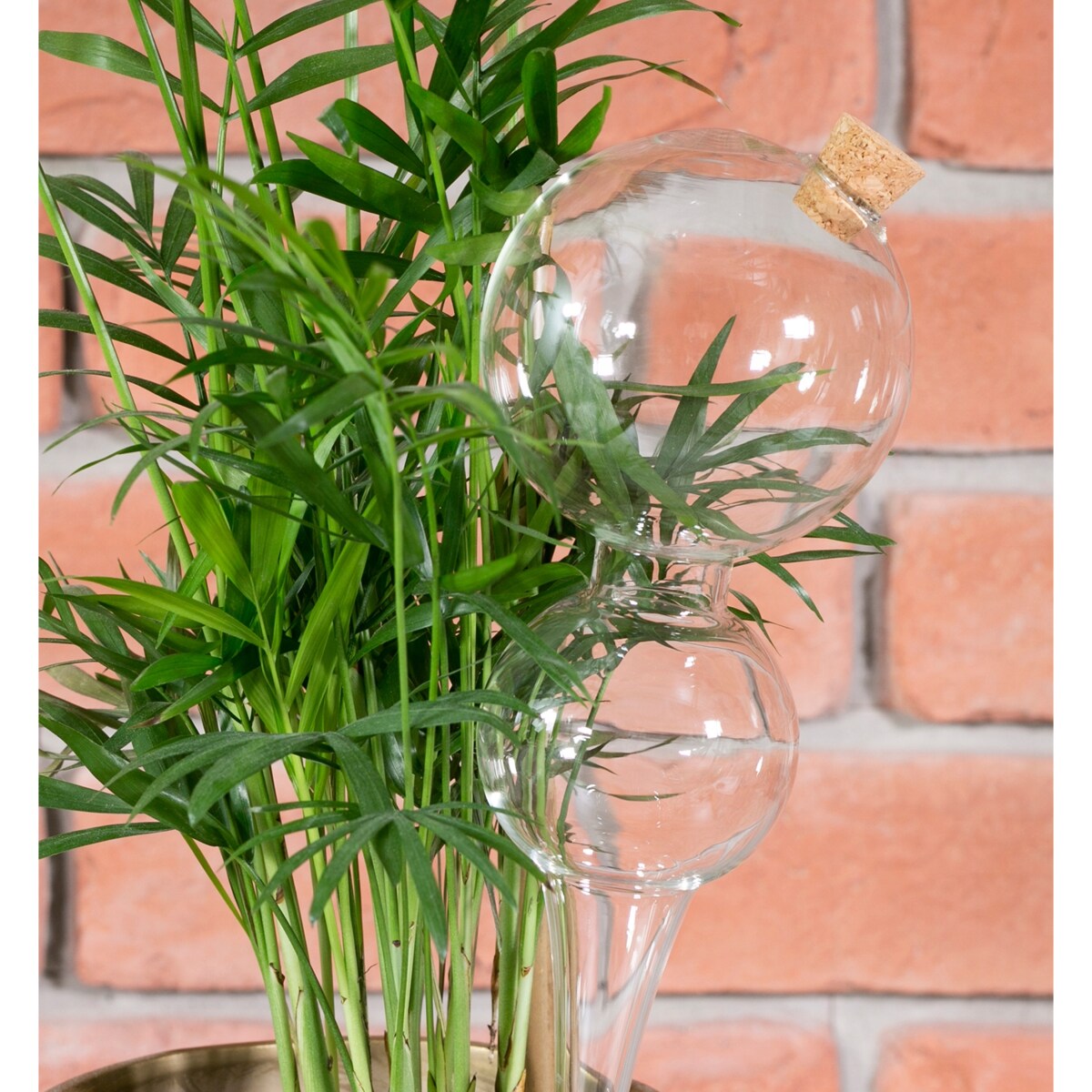 KULA NAWADNIAJĄCA do roślin kwiatów SZKLANA nawadniacz do doniczek 400ml