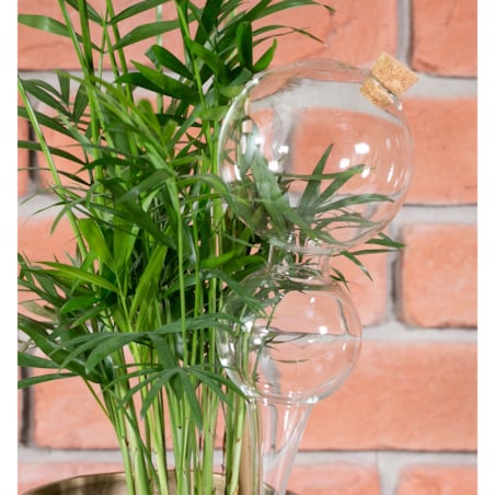 KULA NAWADNIAJĄCA do roślin kwiatów SZKLANA nawadniacz do doniczek 400ml