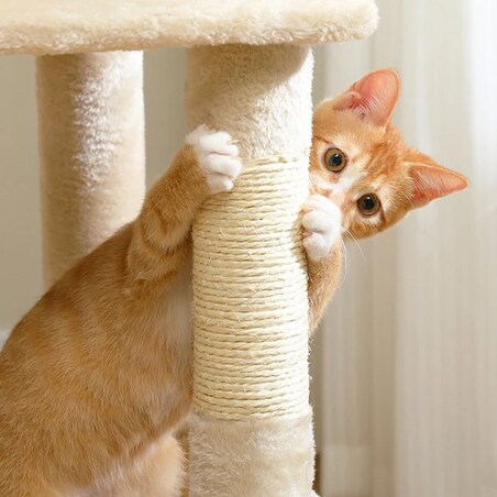 DRAPAK DLA KOTÓW Beżowy P70371