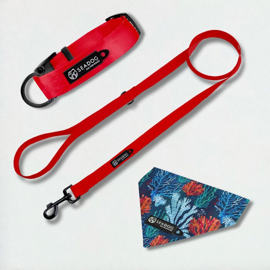 Zestaw: smycz, obroża i bandana, rozmiar L