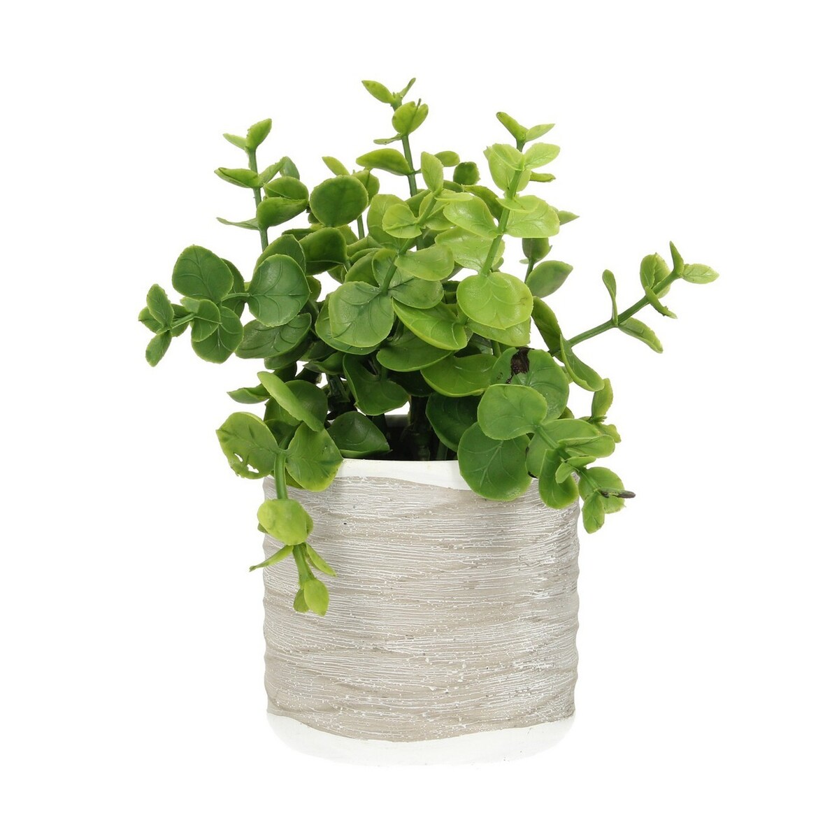 Dekoracja Eukaliptus 16cm, 8 x 8 x 16 cm