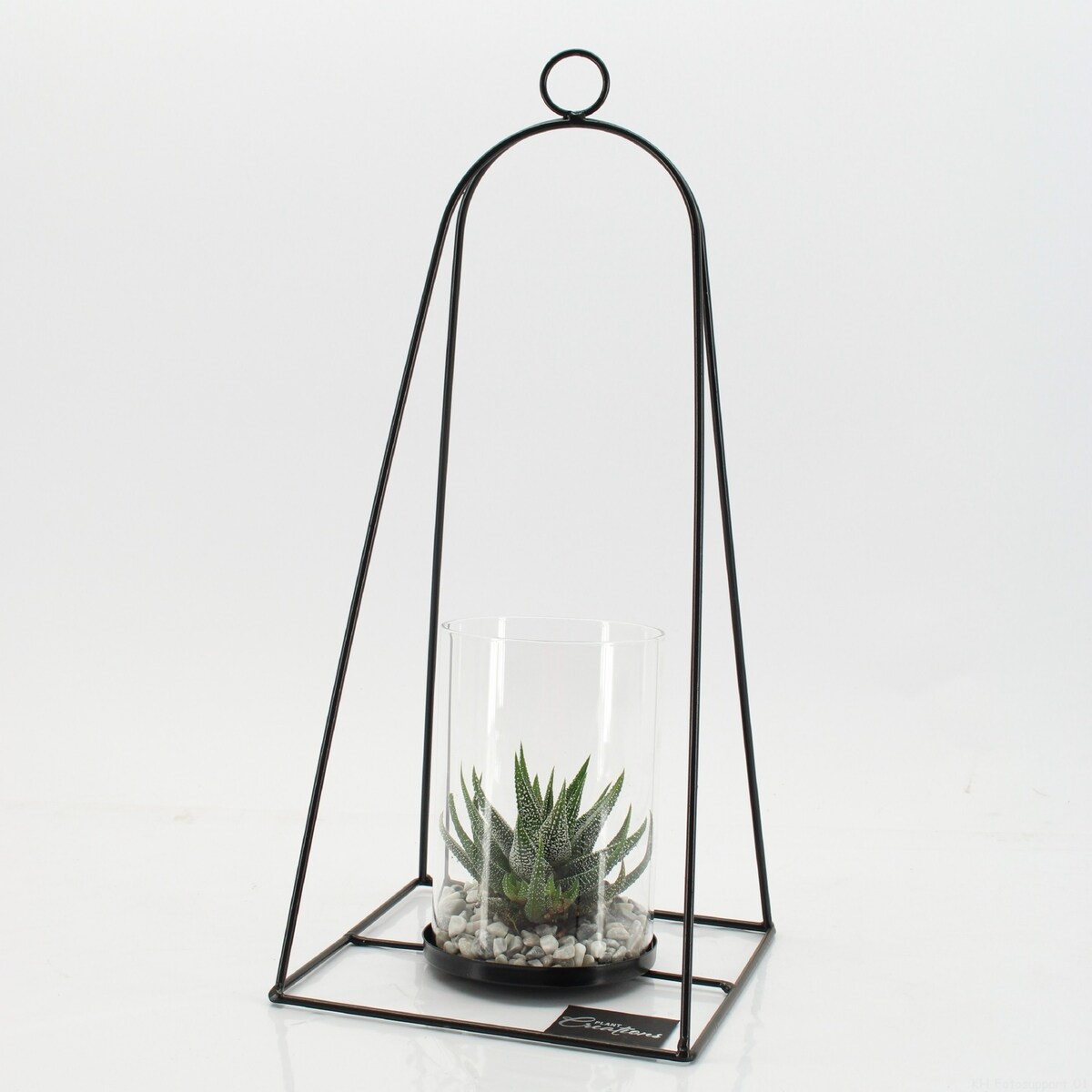 Kompozycja roślinna suculent z trandy ze stojakiem i szklanym pojemnikiem Ø19cm wysokość 41cm