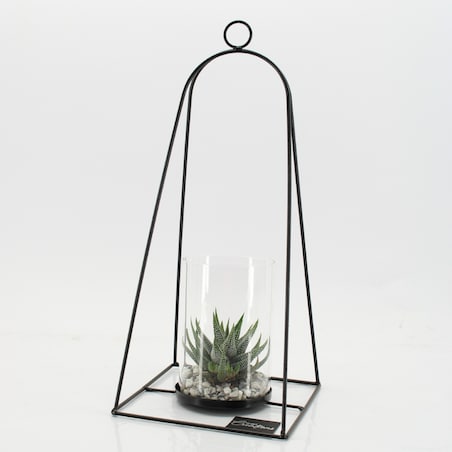 Kompozycja roślinna suculent z trandy ze stojakiem i szklanym pojemnikiem Ø19cm wysokość 41cm