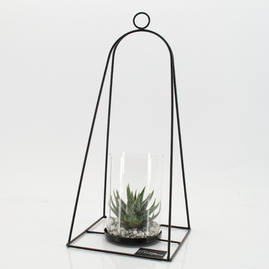 Kompozycja roślinna suculent z trandy ze stojakiem i szklanym pojemnikiem Ø19cm wysokość 41cm