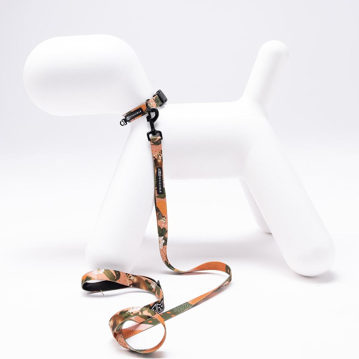 Obroża dla psa lub kota "Wie wiórka co dobre" - Szerokość taśmy: 38mm, Rozmiar: M