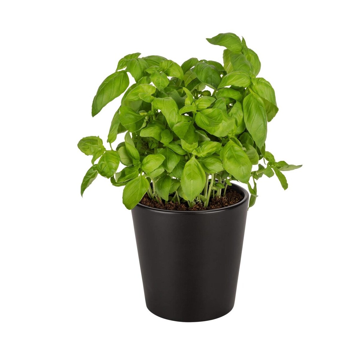 Doniczka na zioła KURO, ceramiczna, Ø 13 cm, WENKO