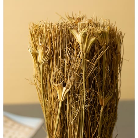 SUSZONA ROŚLINA w doniczce z terakoty wys. 27cm