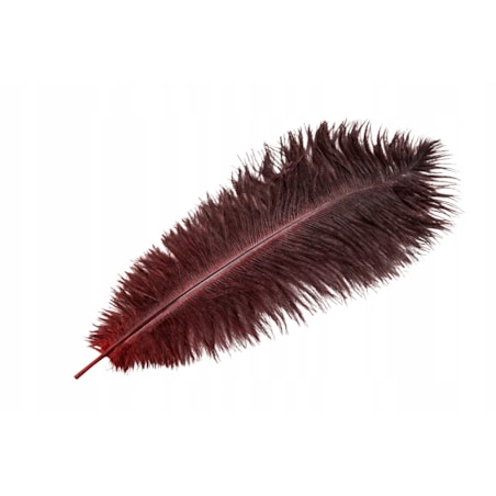 PIÓRO STRUSIE dekoracyjne CIEMNOCZERWONE 45cm