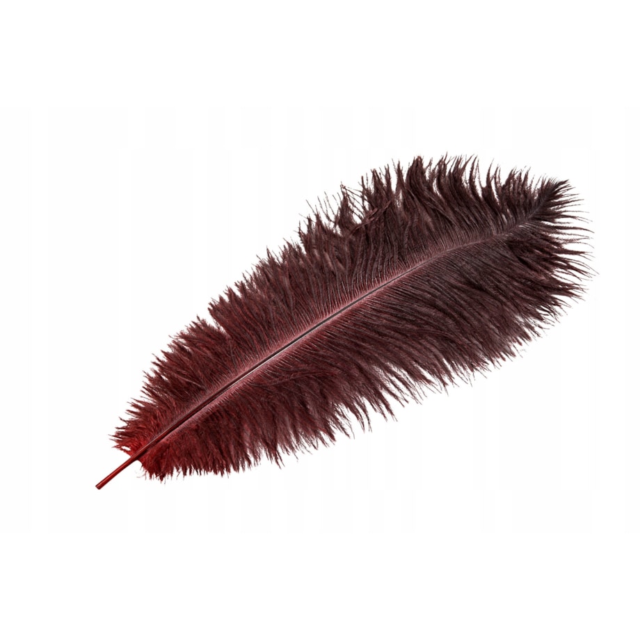 PIÓRO STRUSIE dekoracyjne CIEMNOCZERWONE 45cm