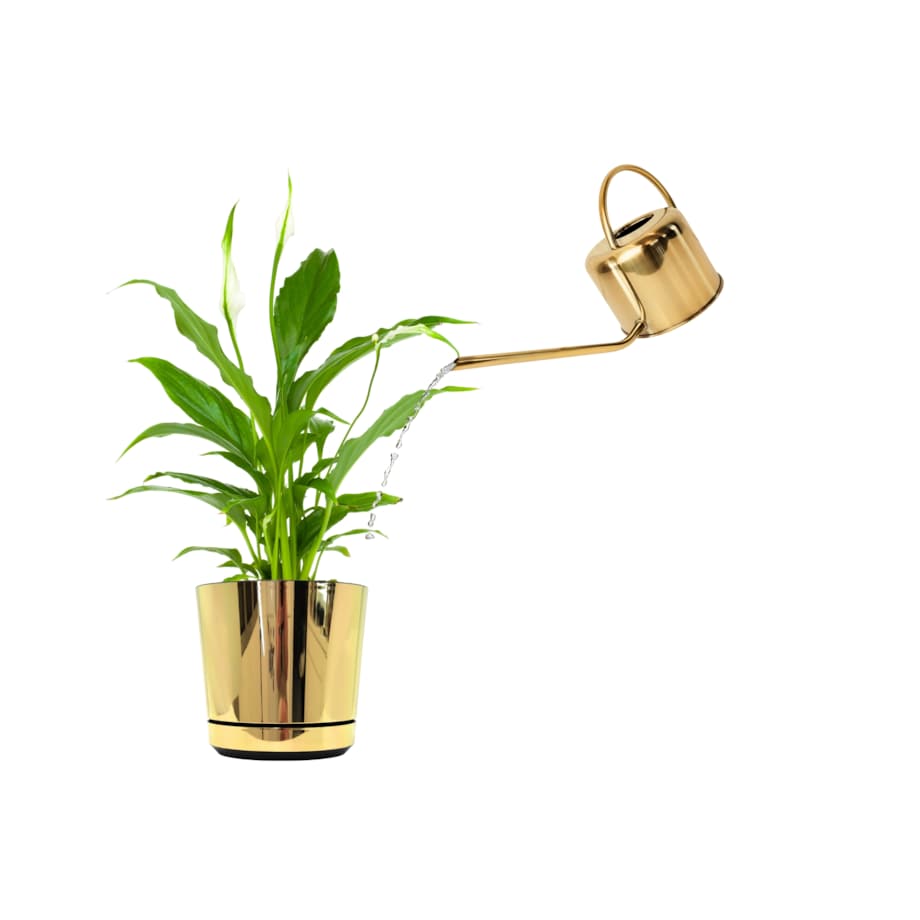 Konewka ZŁOTA ozdobna 1 L wysokiej jakości stal Esschert Design