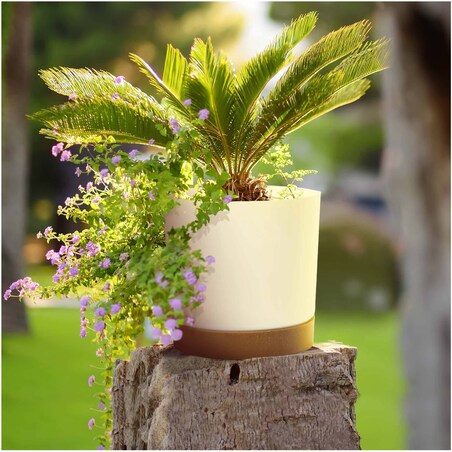 Doniczka Ogrodowa 29,2Cm Z Podstawką Do Domu Donica Plastikowa Gładka Biała