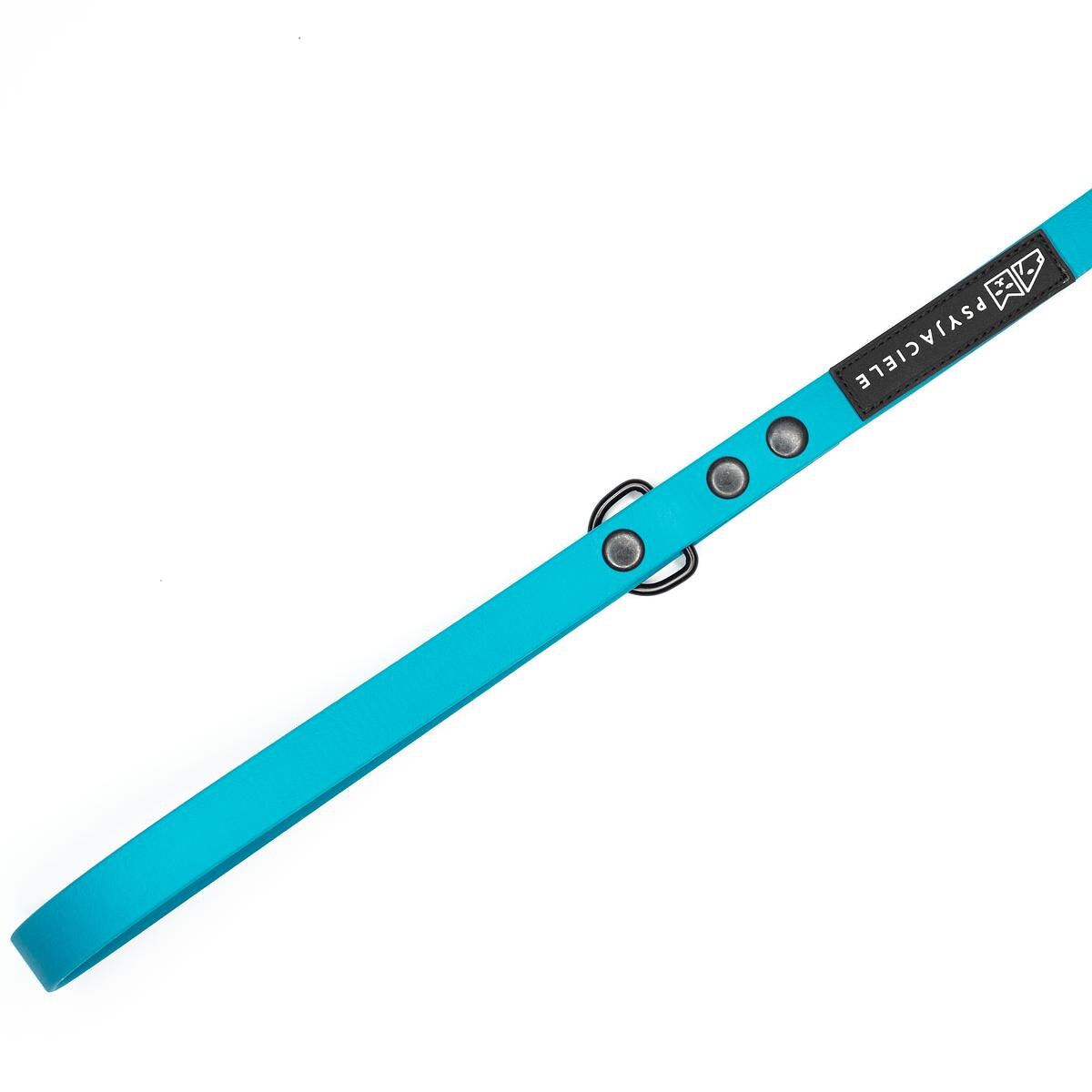 Smycz treningowa Biothane® Turquoise AF