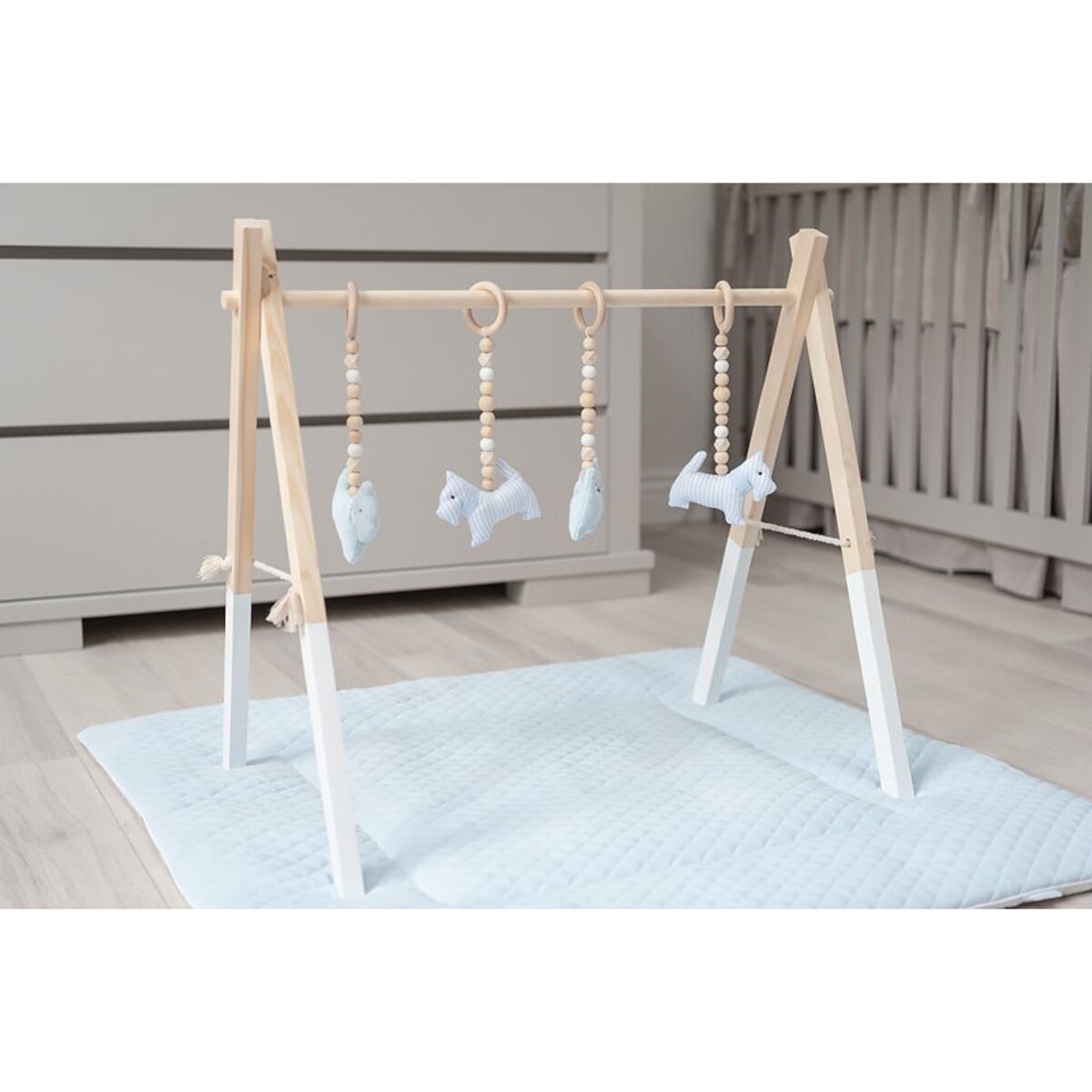 Mata niemowlęca błękitna