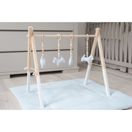 Mata niemowlęca błękitna