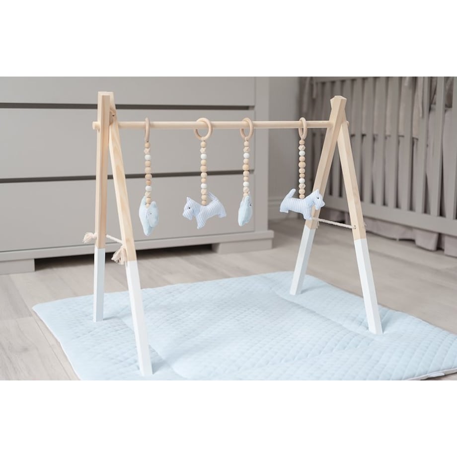 Mata niemowlęca błękitna