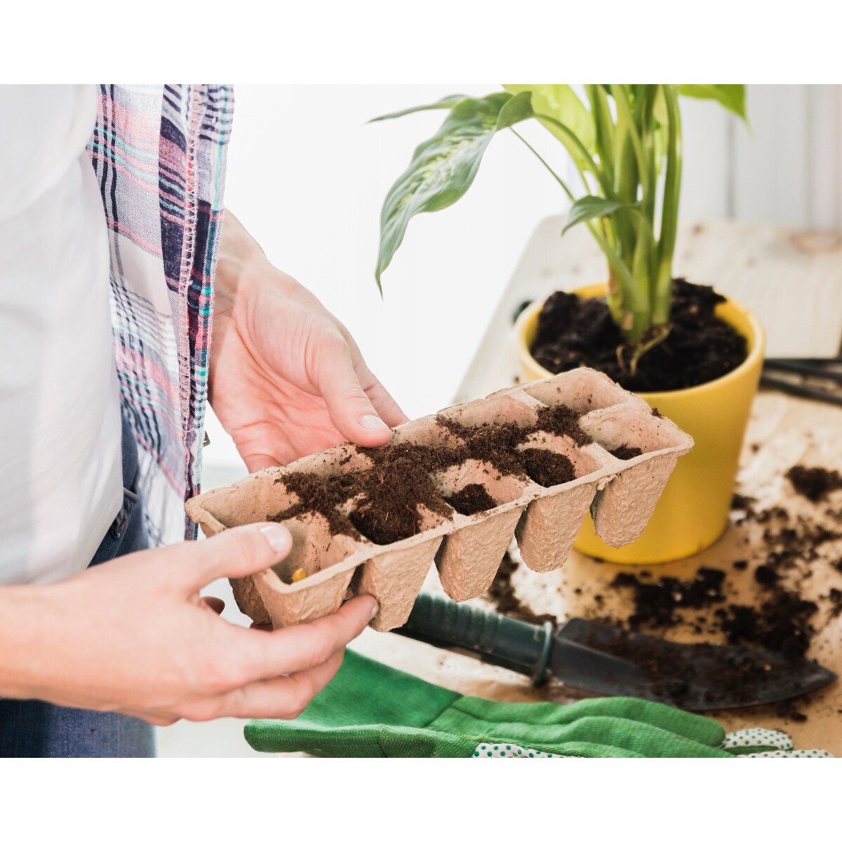 120 X Doniczki Torfowe Do Rozsady Wysiewu Pikowania Sadzonki