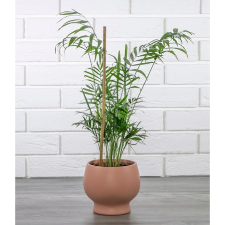 DONICA ELNA ceramiczna RÓŻOWA śr. 14cm