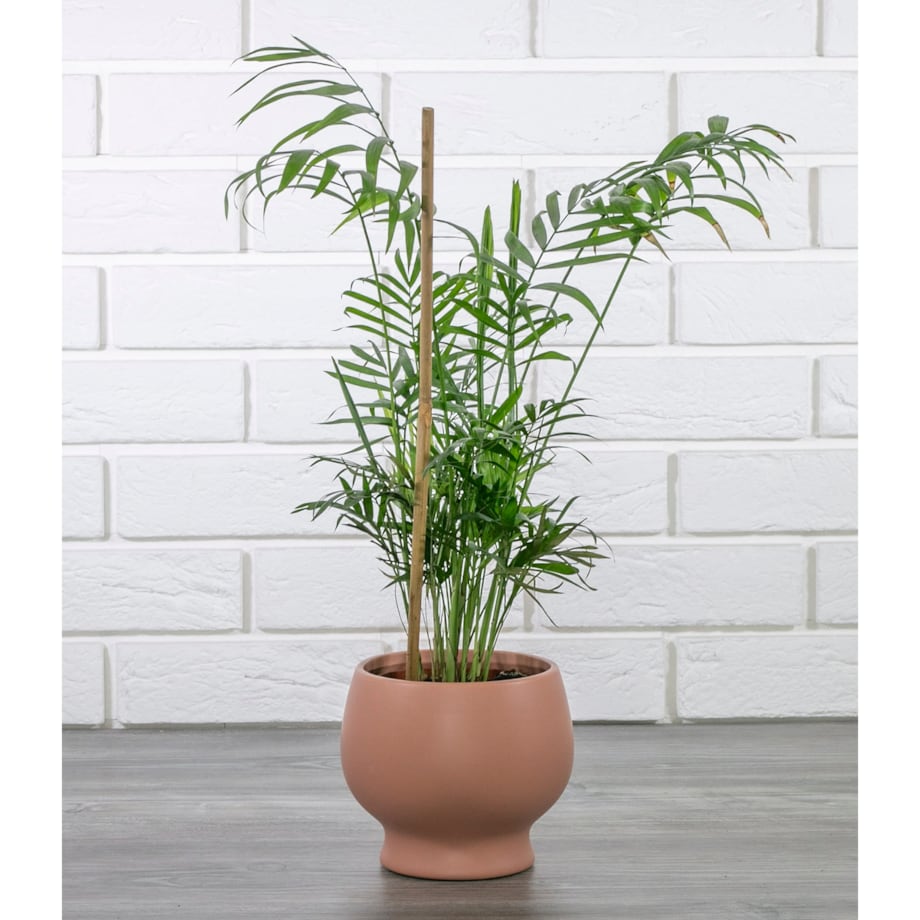 DONICA ELNA ceramiczna RÓŻOWA śr. 14cm