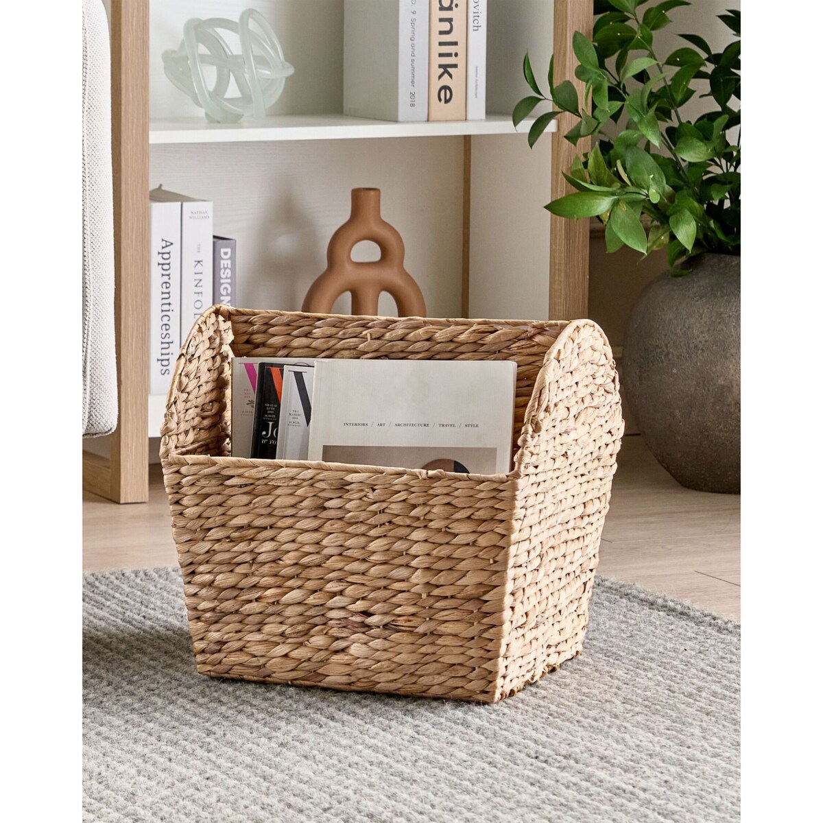 Gazetnik z hiacyntu wodnego jasny VINH