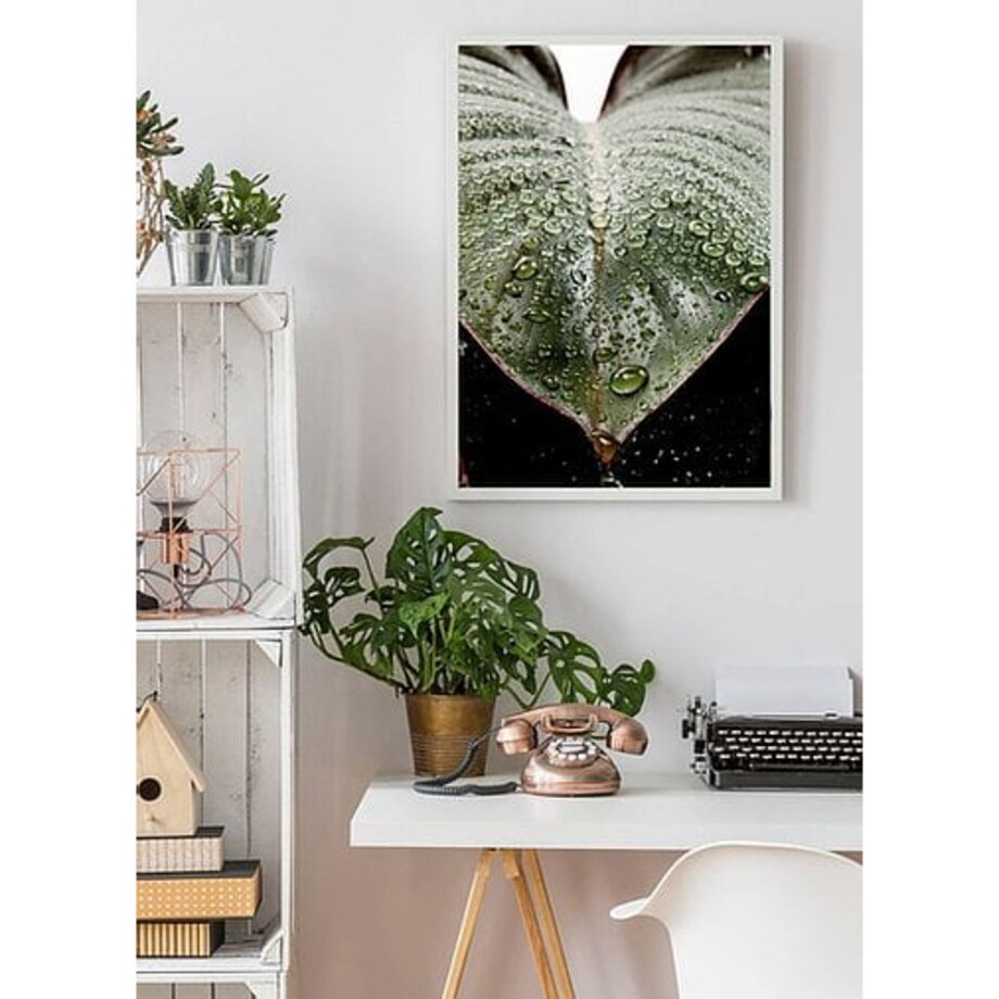 Poster Story, Plakat, Obraz - Krople Rosy, wymiary 21 x 30 cm