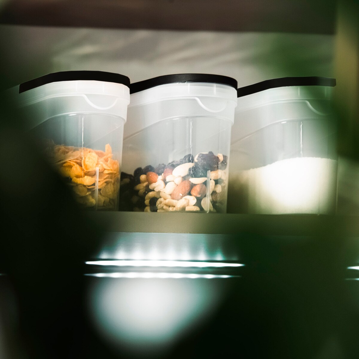 Pojemniki Na Żywność Kuchenne 3 X 1,3 L Makaron Cukier Mąkę Kaszę Sypkie