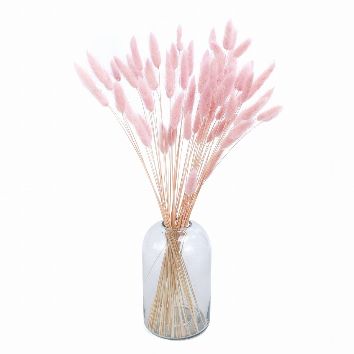 Lagurus Suszony Jasnoróżowy