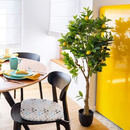 Drzewko Cytrynowe 146cm, 18 x 18 x 146 cm