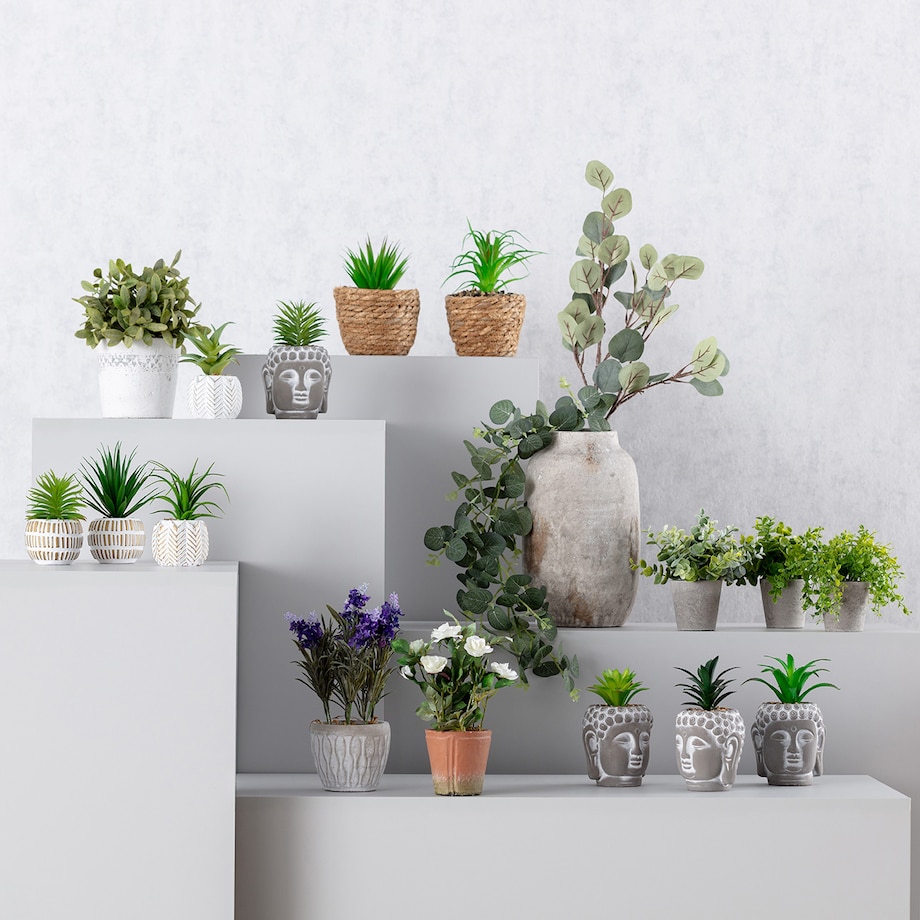 Dekoracja Sukulent w doniczce 13cm, 8 x 8 x 13 cm