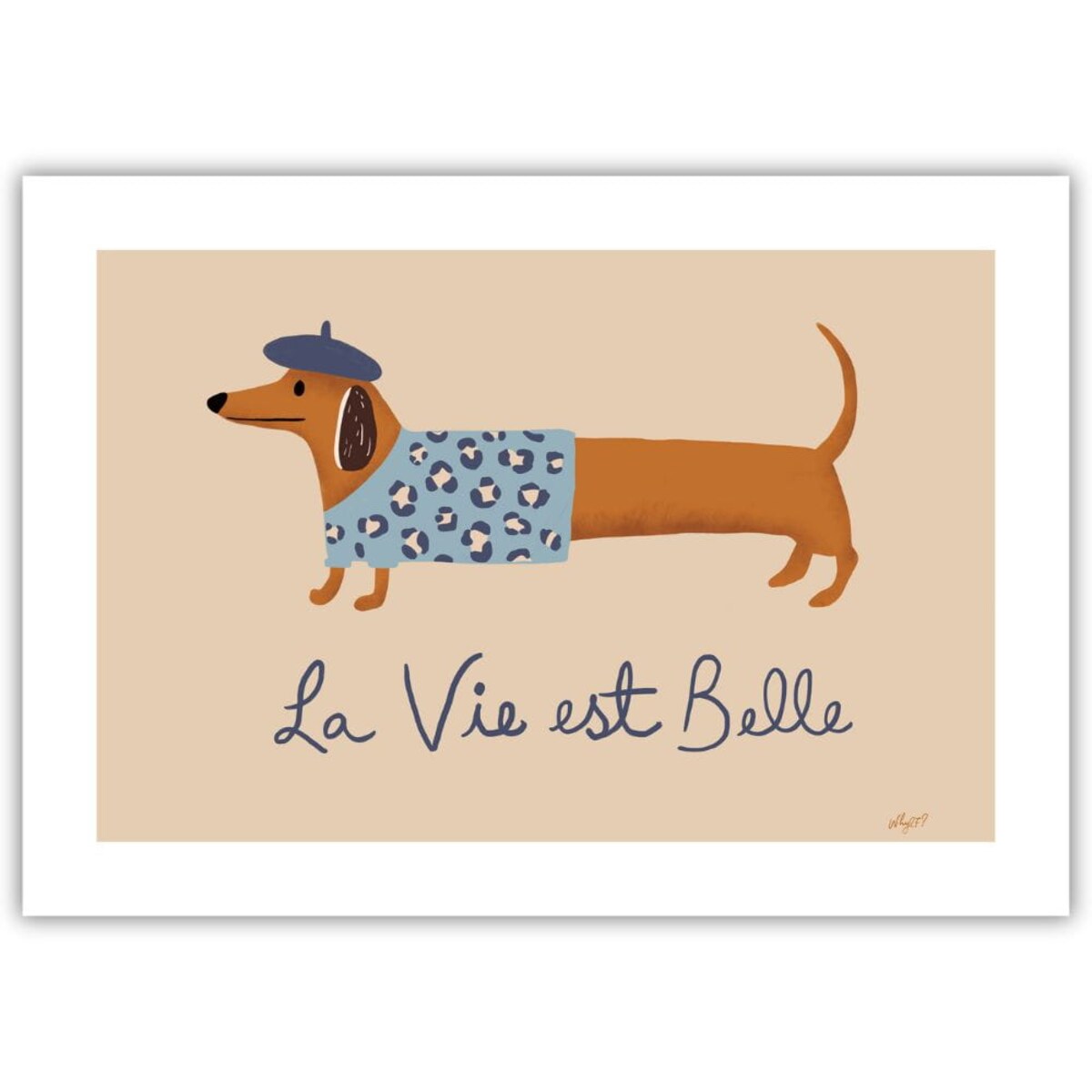 plakat jamnik w niebieskim berecie 70x100