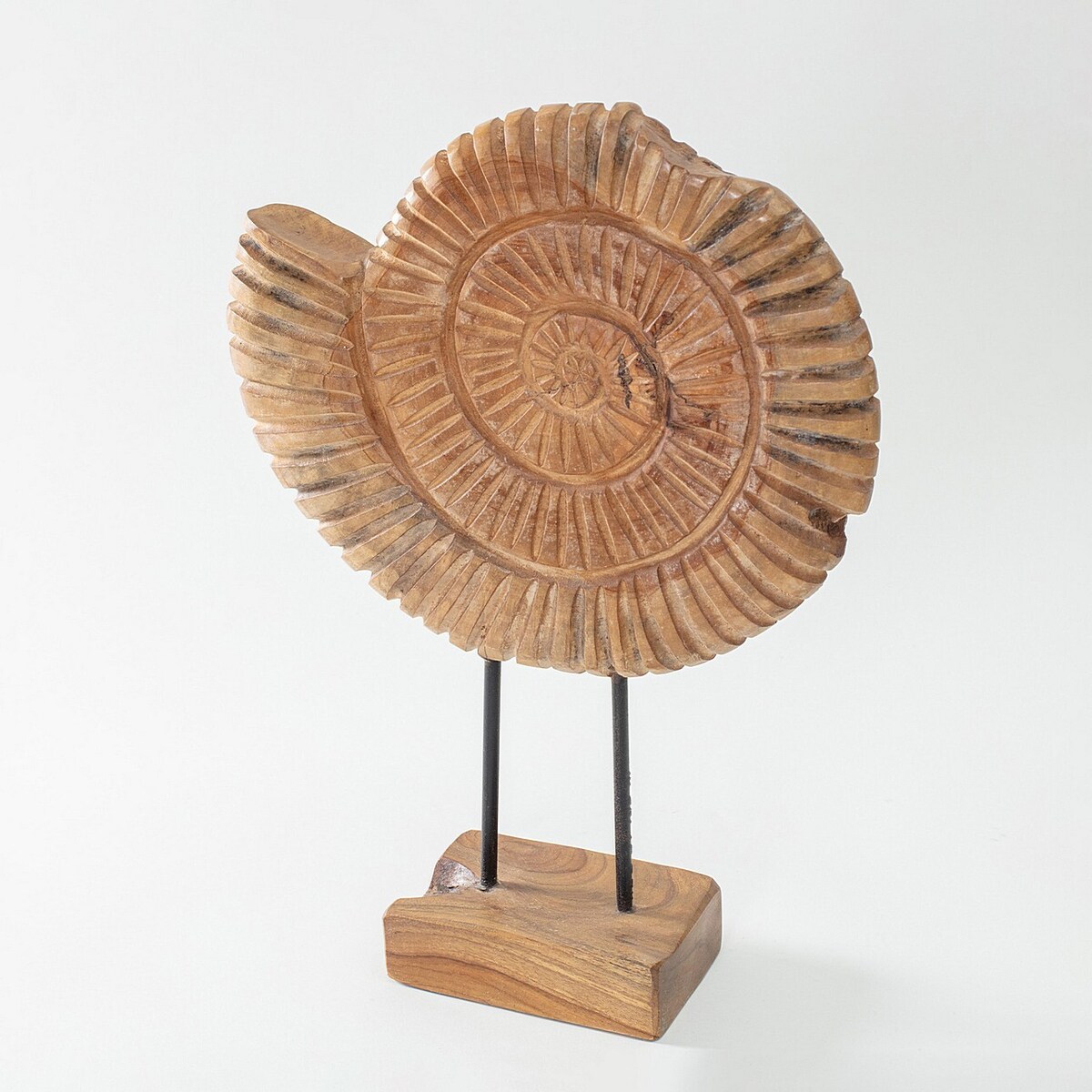 Dekoracja Fossil 45 cm, 34x10x45 cm