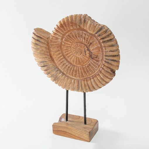 Dekoracja Fossil 45 cm, 34x10x45 cm
