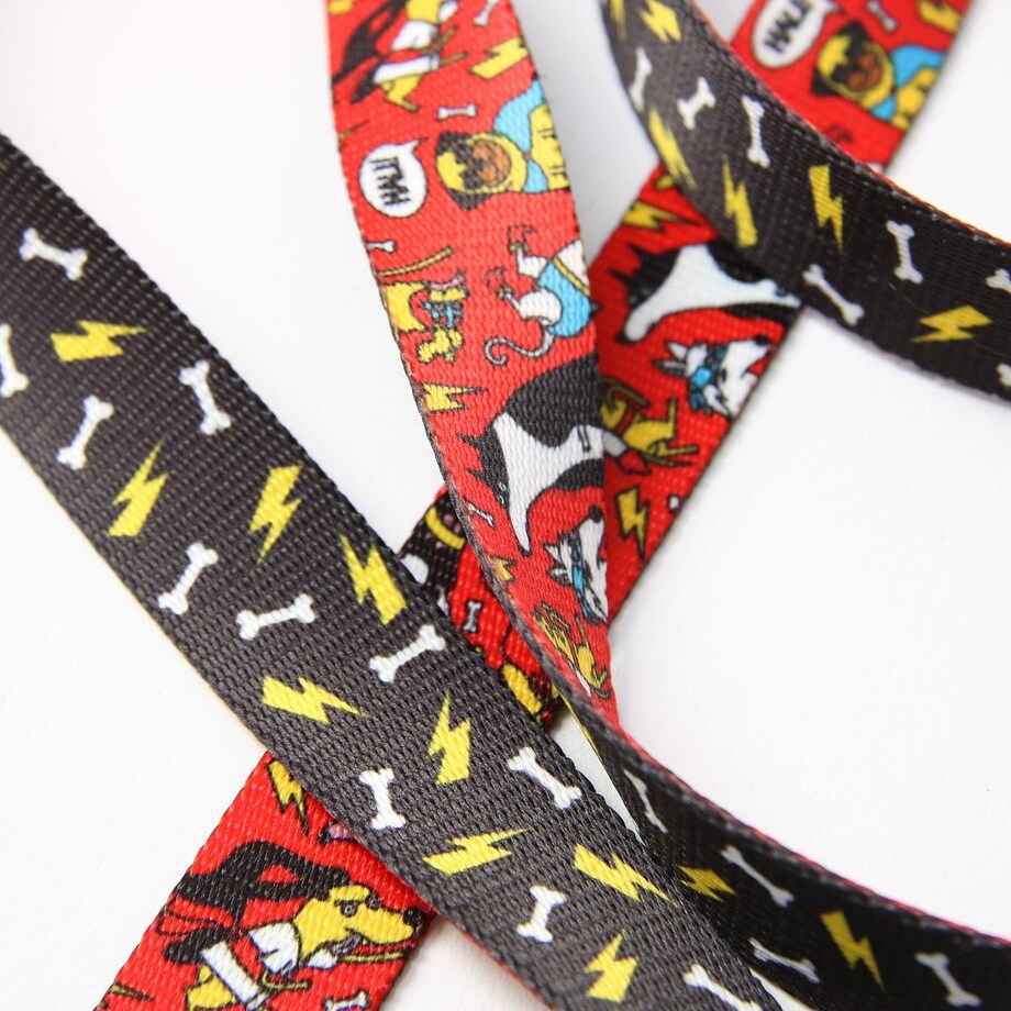 Smycz przepinana z amortyzatorem dla psa lub kota "Pies, który lata najlepsze ma za sobą" - Szerokość taśmy: 25mm, Rozmiar: L oraz Rodzaj: Mały karabinek